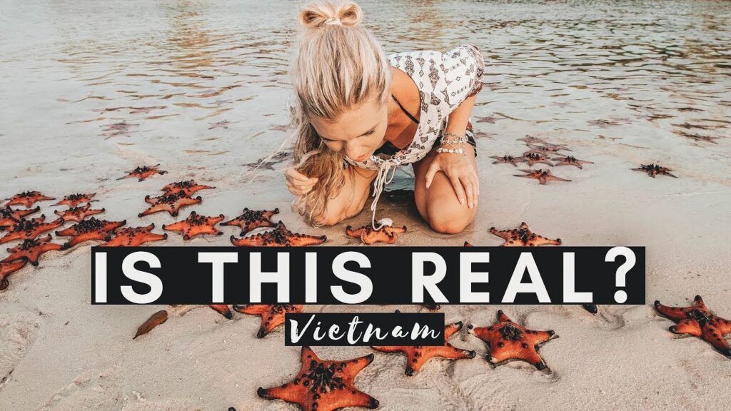 BEST STARFISH BEACH | VIETNAM'S HIDDEN TREASURE | VIETNAM VLOG #027