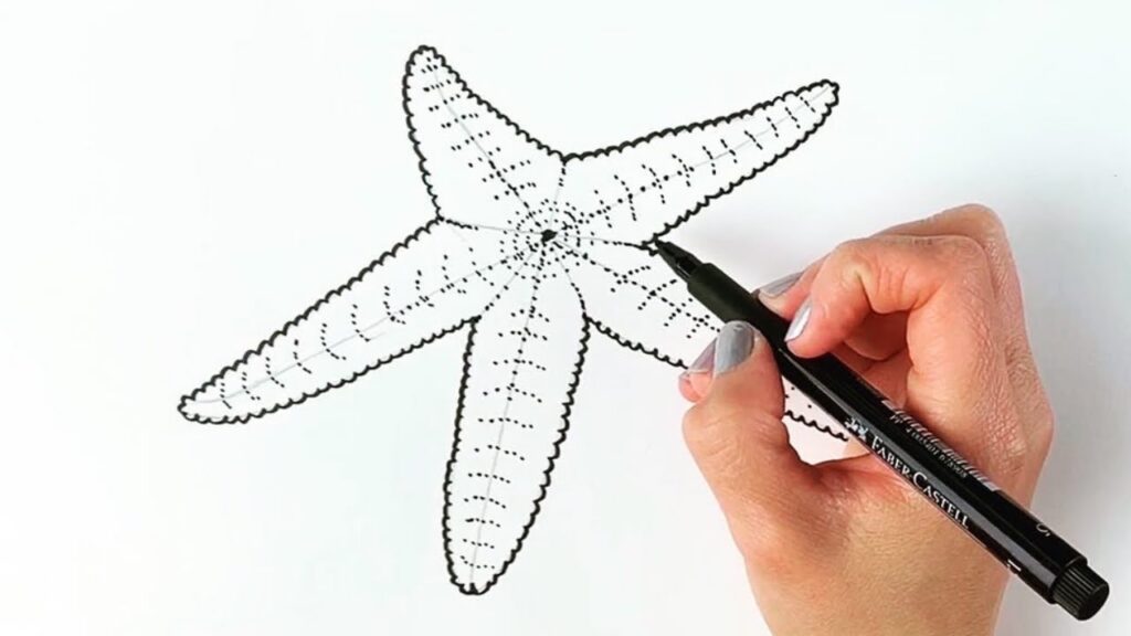 How to draw a starfish step by step