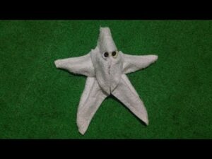 STAR FISH / SEA STAR - MY TOWEL CREATION