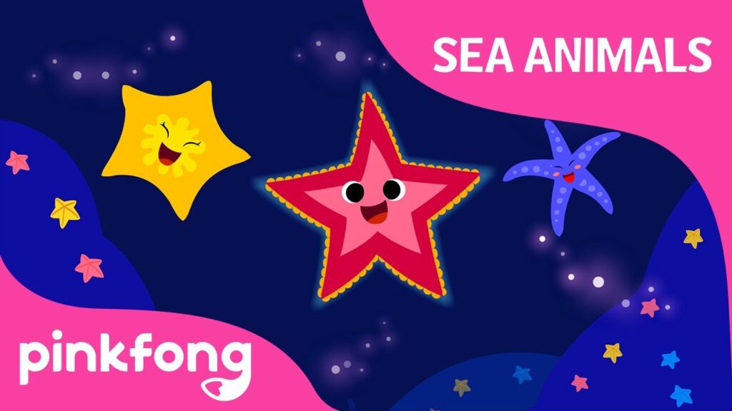 Shooby dooby doo Starfish | Sea Animals Song | Animal Song | Pinkfong Songs for Children