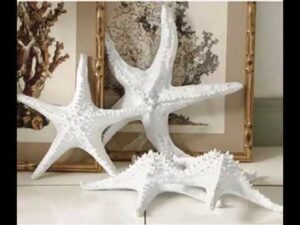 Starfish decorations ideas
