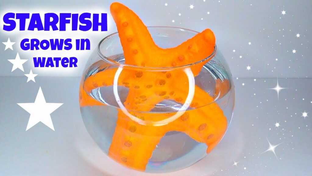The Amazing MEGA GROW STARFISH Review + Time Lapse Novelty Toy Reviews